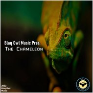 Blaq Owl - Free Love