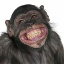 PASHA - CRAZY MONKEY
