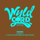 Robiin - Work It (Catz N Motion, MPROENZA Remix)