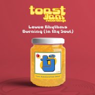 Leuce Rhythms - Burning (In My Soul)