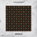 Anomalje & Squarehead - What About (Original Mix)