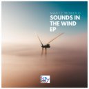 MARTZ Moreno - Sounds In The Wind (Original Mix)