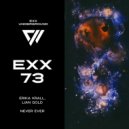 Erika Krall, Lian Gold - Never Ever (Radio Edit)