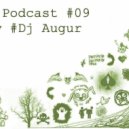 Dj Augur (Planum Family) - podcast9(January 2017) ()