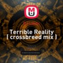DJ Lastic - Terrible Reality ( crossbreed mix ) ()