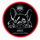 Joselacruz & Jose Vilches - Aries (Version mix)