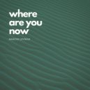 Marcus Levinas - Where Are You Now (Original Mix)