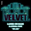 Ladies On Mars, Saavedra Funk - We Are (Original Mix)