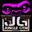 Vibrant Junglist - Not Ready 2 Let U Go