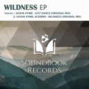 Acidbro & Sasha 4Time - Wildness (Original Mix)