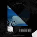 Narcotic Symphony - Crazy Flute (Original mix)