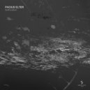 Pacius Elter - False Flag (Original Mix)