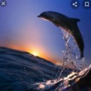 Trance Traxx - 26.06.2022. (uplifting trance)