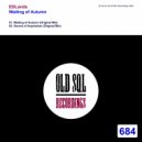 EDLands - Source of Inspiration (Original Mix)