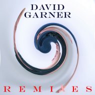 David Garner feat. Mood Pulse - Didn\'t