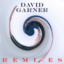 David Garner feat. Mood Pulse - Didn\'t (Radio Edit)