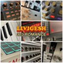 Livigesh - Acid Funk Freak ()