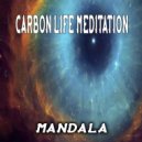 Carbon Life Meditation - Erased Dreams ()