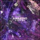 AWAKEND & CeCe Mix - Feel The Same