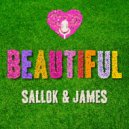 Sallok & James - Like A Dream (Original Mix)