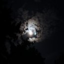 Osc Project - Into The Night