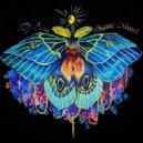 Dj Asia - Organic Mixed (Mix)