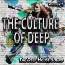 Subsonic Aura - Dance of the Sun (Deep Martini MIx)