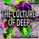 Red Quantum - My Witness (Carl Queen\'s Chillhouse Mix)