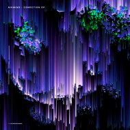 NIKMIND - Manifestation