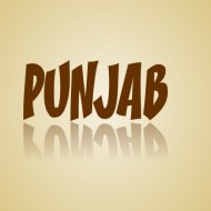 David Bitton - Punjab