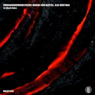 HumanAudioWorkstation (HAW), Marius Von Bentzel - Holding my Head