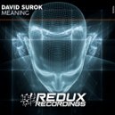 David Surok - Meaning (Extended Mix)