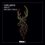 4UALWAYS - Moola