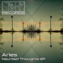 Aries.be - Afraid Of The Faces