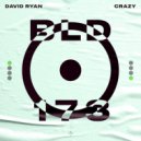 David Ryan - Crazy (Original Mix)