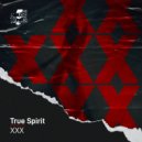 True Spirit - XXX (Original Mix)