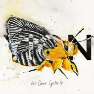 Coiro - Oxeye