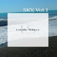 VS51 - Flyyy