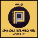 Grace Bones, Digital Analog Hotel - What\'s Up (Original Mix)