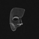 HINZY - WITHOUT BRAKES ()