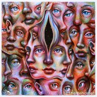 Aeonium - Shanti Bloc