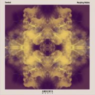Senekal - Morphing Mallets