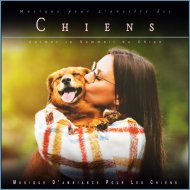 Musique D\'ambiance Pour Les Chiens & Musique Calmante Pour Chiens & Musique pour L\'anxiété des Chien - Musique de Piano Apaisante pour Chiens