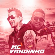 Dj Rhuivo & Mc Vandinho - Novinha Maluca