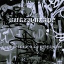 PROPHETPLAYA & DJ PLAYAMANE - 100 burzums (Intro)