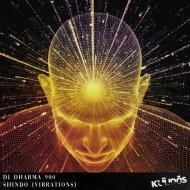 DJ Dharma 900 - Shindo (Vibrations)
