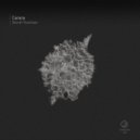 Carara - Secret Function