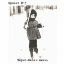 Проект №13 - Двадцать минут ()