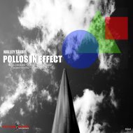 Halley Seidel  - Pollos In Effect