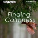 Aleh Famin - Finding Calmness ()